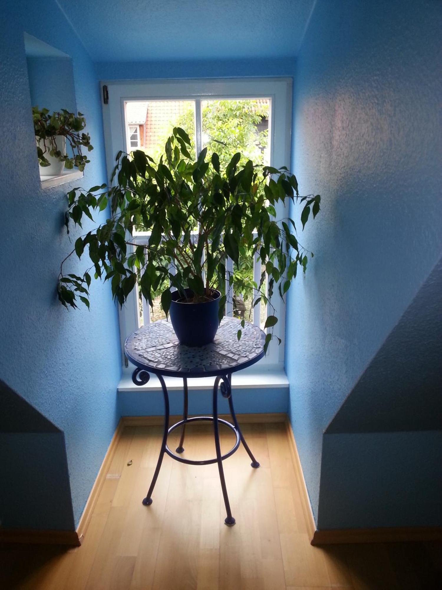 Fachwerkhotel - Ferienhaeuser Vorhof Zur Hoelle クヴェードリンブルク エクステリア 写真
